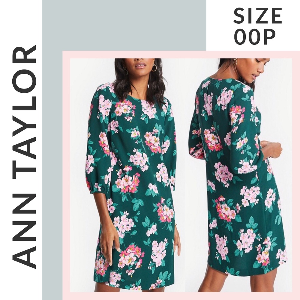 🌟 NWT 🌟 Ann Taylor Dress (size 00P)